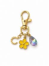 The Joey Charm