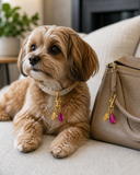 The Maggie Charm