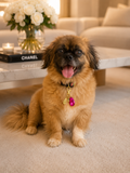 The Maggie Charm