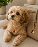 The Nut Charm