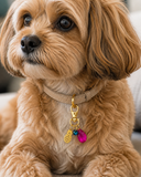 The Wobbles Charm