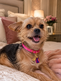 The Charlie Charm