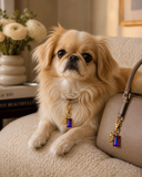 The Charlie Charm