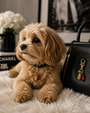 The Ellie Charm