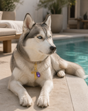 The Stella Charm
