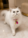 The Wobbles Charm