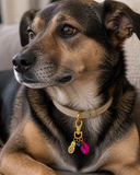 The Wobbles Charm
